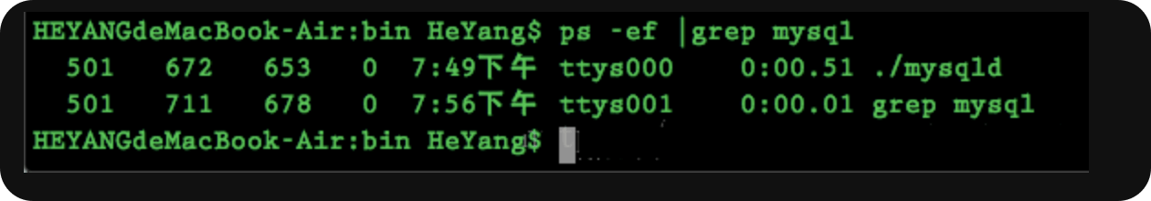 image-20250125030825941